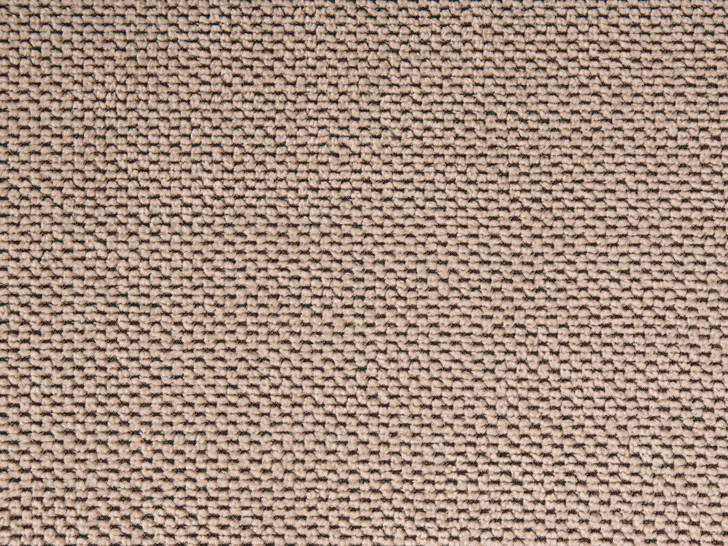  Sofa Bed HORMA Fabric Light Brown